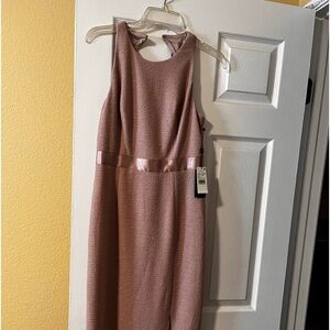 Blush Pink Adrianna Papell dress.